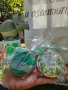 Ръчно декорирани бисквитки с фондан, снимка 8