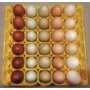 Пластмасова кора за 30 броя Яйца Арт. №: 11562, снимка 5