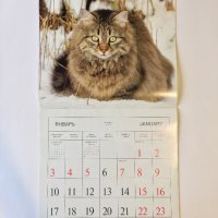 Стенен календар 2011 Котки, снимка 5 - Други - 38776717