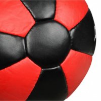 Тренировъчна медицинска топка DBX Bushido - 7 kg, снимка 3 - Фитнес уреди - 37980268