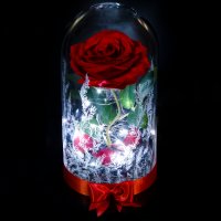 Вечна роза в ГОЛЯМА стъкленица - Оригинален подарък за жена / Уникален Подарък за Годишнина, снимка 1 - Декорация за дома - 30843510