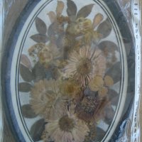 2 Сувенирни арт картини от натурални цветя, снимка 3 - Други ценни предмети - 38471975