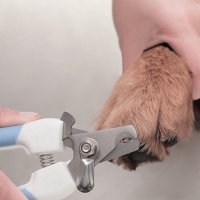 Комплект от ножичка клещи и пиличка за нокти на куче/котка, снимка 3 - Други стоки за животни - 39465906