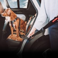 Нов автомобилен Предпазен Колан за кучета, водач и дръжка 2 в 1 , снимка 5 - За кучета - 42158326