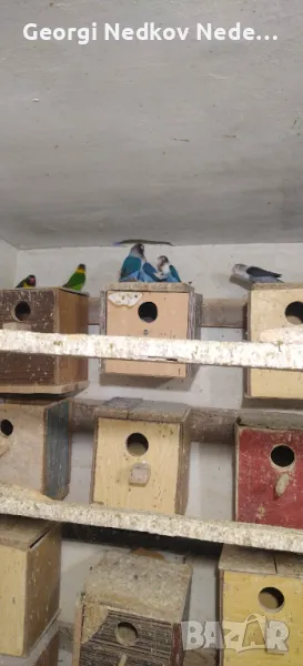 Продавам маскови неразделки, снимка 1