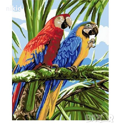 5D 2 папагала папагали папагал диамантен гоблен картина мозайка за направа по схема с камъчета , снимка 1