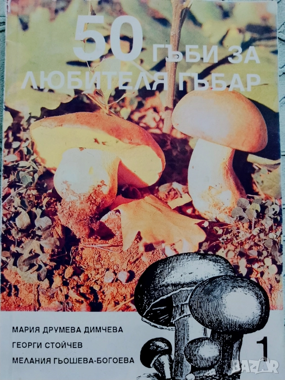 Книга ,,50 гъби за любителя гъбар,, Много добра., снимка 1