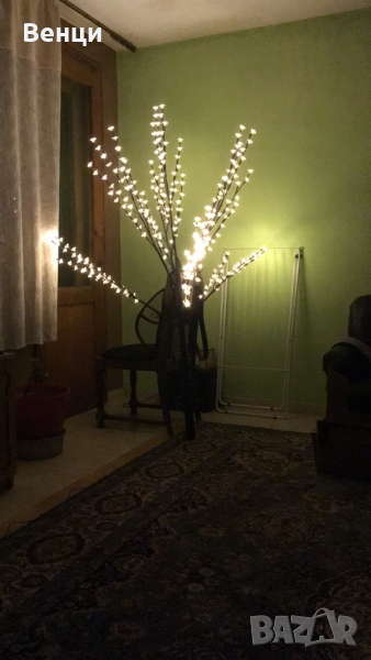 Светещо дърво, снимка 1