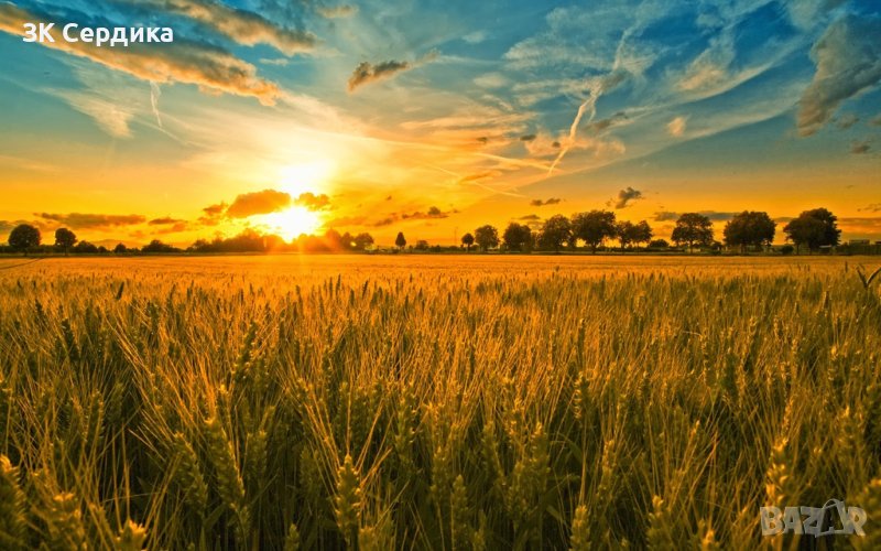 Купувам ЗЕМЕДЕЛСКА ЗЕМЯ всички землища област  Перник, снимка 1