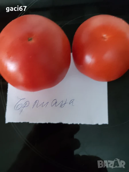 Семена домати и други зеленчуци , снимка 1