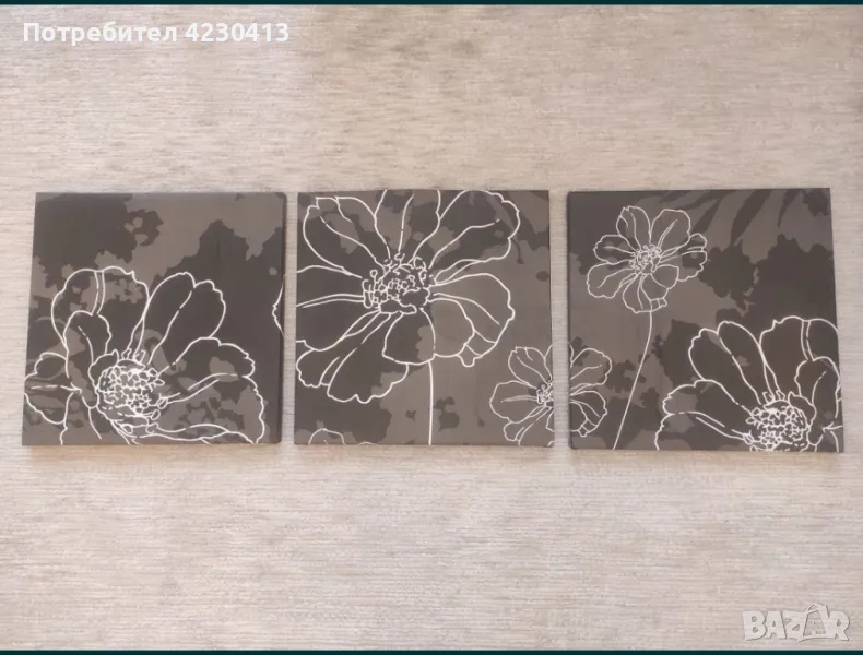 3 броя пана , снимка 1