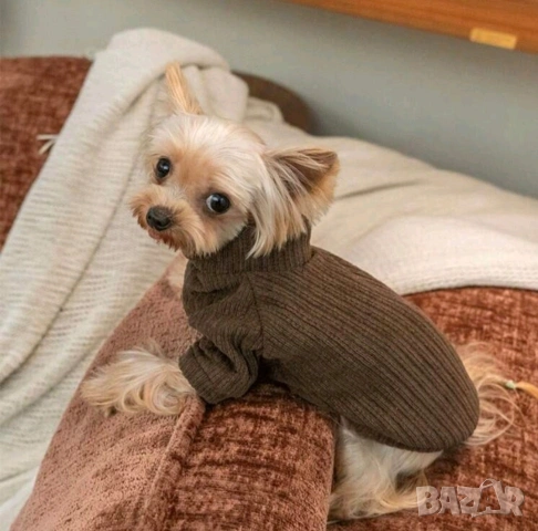 Пуловер за куче
