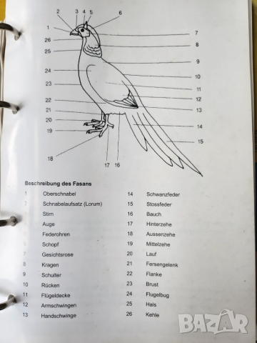 Декоративни птици - Немски стандарт (официален), цветен, над 300 вида описани, критерии за оценка..., снимка 3 - Енциклопедии, справочници - 52341558