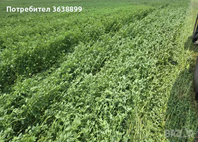 Рулонни бали люцерна,ливадно сено!, снимка 2 - За селскостопански - 50854833