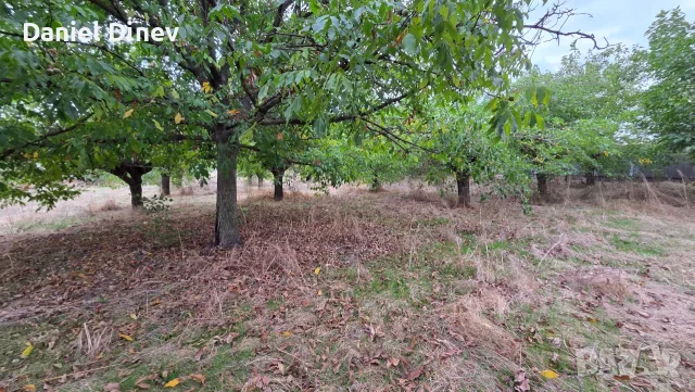 къща в гр Гълъбово - 3.8 дка, снимка 8 - Къщи - 56168554