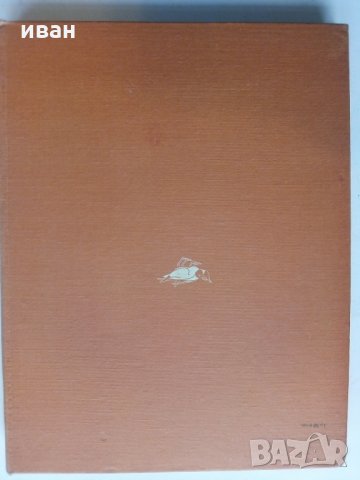 Поведение животных - Н.Тинберген, снимка 16 - Енциклопедии, справочници - 30433762