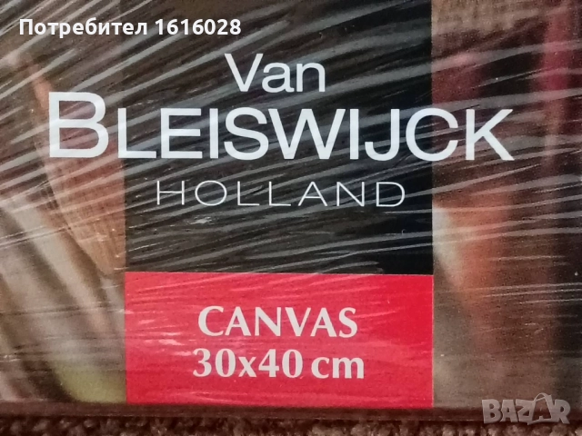 VAN BLEISWIJCK - Комплект от 2 броя Платна за рисуване., снимка 13 - Картини - 47753919