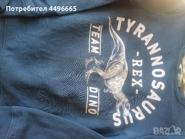 Детски суичър , снимка 3 - Детски анцузи и суичери - 51734516