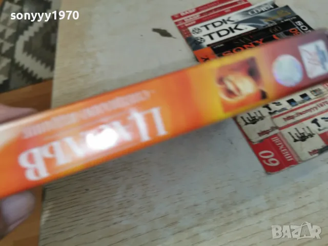 ЦАР ЛЪВ-ORIGINAL VHS 0709260748L1, снимка 13 - Анимации - 55973831