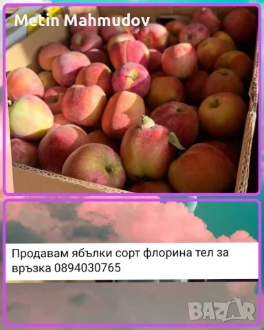Плодове (ябълки)