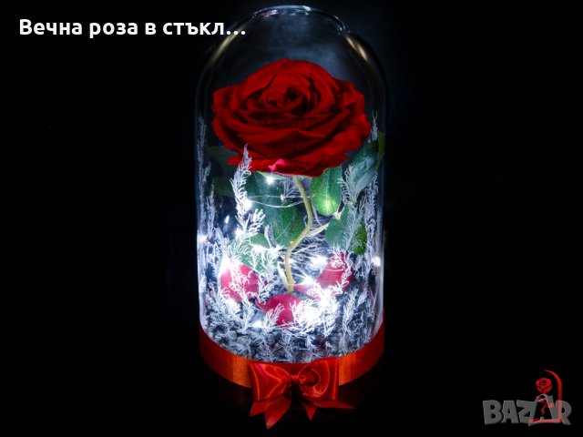 Вечна роза в ГОЛЯМА стъкленица - Оригинален подарък за жена / Уникален Подарък за Годишнина, снимка 1 - Декорация за дома - 30843510