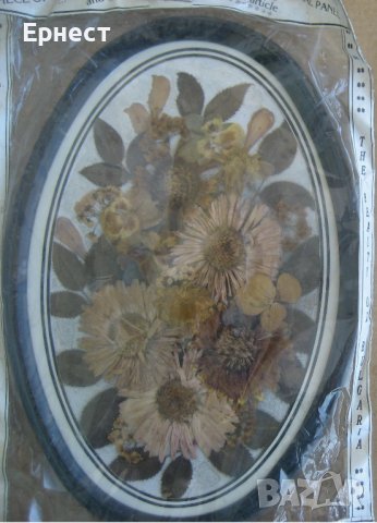 2 Сувенирни арт картини от натурални цветя, снимка 3 - Други ценни предмети - 38471975