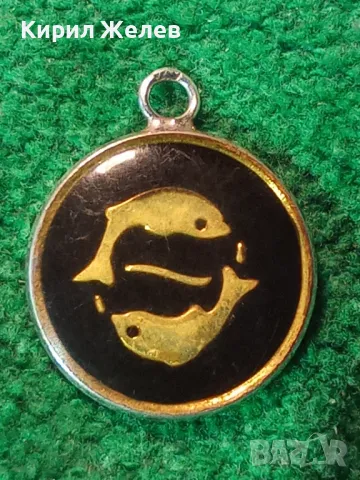 ЗОДИЯ РИБИ АСТРОЛОГИЧЕН СРЕБЪРЕН МЕДАЛЬОН СРЕБРО 900 с ЕМАЙЛ и ЛАК АРТ ПЕНДАНТ 49420, снимка 13 - Колиета, медальони, синджири - 49551522