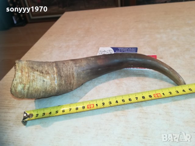 рог за колекция 0511201242, снимка 9 - Колекции - 30682903