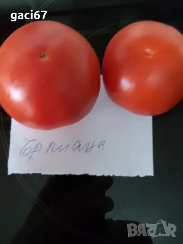 Семена домати и други зеленчуци 