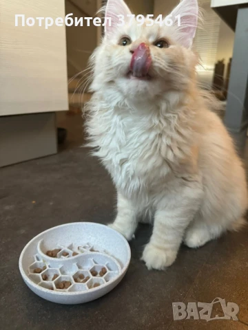 Кучешки и котешки аксесоари, снимка 7 - За кучета - 50566120