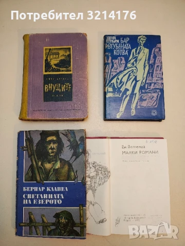 Светлината на езерото - Бернар Клавел