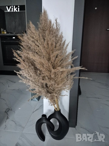 Чисто нов букет от естествена пампаска трева, снимка 2 - Градински цветя и растения - 54086134