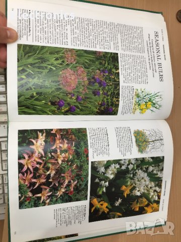 Енциклопедия A-Z of Annuals, Biennials & Bulbs (Successful Gardening), снимка 8 - Енциклопедии, справочници - 30873162