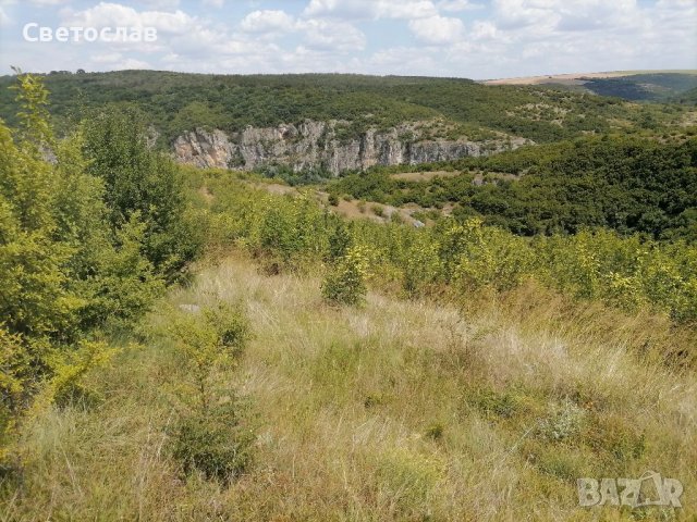 Продавам парцел в регулация в с. Кошов , снимка 6 - Парцели - 37338185