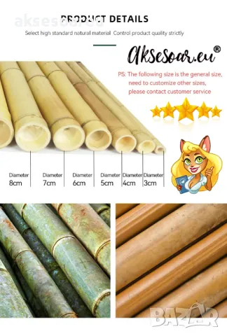 Качествени семена от бамбук Moso Bambo бързо растящи растения за дома бамбуков разсад за украса , снимка 17 - Сортови семена и луковици - 48994928