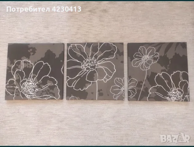 3 броя пана , снимка 1