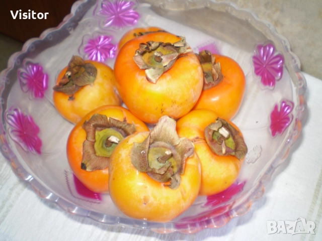 фотоапарат Olympus FE-210    7.1 МРх, снимка 9 - Фотоапарати - 52676544