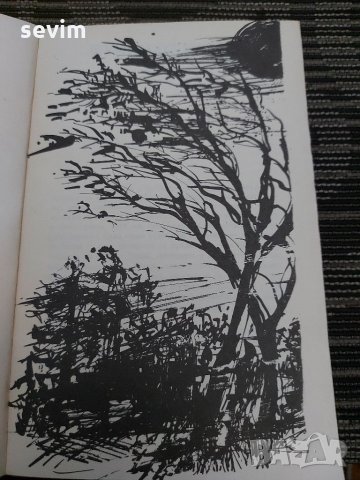 Шумки от габър от Николай Хайтов , снимка 4 - Българска литература - 35200971