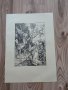 Литографии Албрехт Дюрер различни видове с воден знак , снимка 6