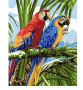 5D 2 папагала папагали папагал диамантен гоблен картина мозайка за направа по схема с камъчета 