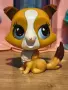 Littlest Pet Shop (LPS) Hasbro животинки (Generation 3/2), снимка 2