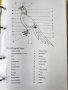 Декоративни птици - Немски стандарт (официален), цветен, над 300 вида описани, критерии за оценка..., снимка 3