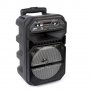 Караоке Тонколона 8" ND-6009, 1 безжичен микрофон, Bluetooth, FM радио, micro SD/USB/AUX, Светлини , снимка 3