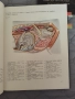 Атлас по топографска анатомия на селскостопанските животни Том 1, 2 и 3, снимка 11