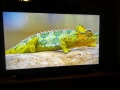 НАМАЛЕНИЕ! Премиум Телевизор Sony Bravia 55XF9005 – Перфектно състояние, снимка 4