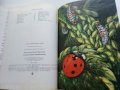 Занимательная Ентомология - Н.Плавильщиков - 1990г., снимка 9