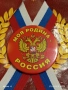 Значка Моя Родина Русия за КОЛЕКЦИОНЕРИ 42957, снимка 2