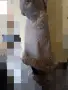Дамски кожух от овча кожа, снимка 10