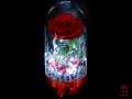 Вечна роза в ГОЛЯМА стъкленица - Оригинален подарък за жена / Уникален Подарък за Годишнина