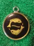 ЗОДИЯ РИБИ АСТРОЛОГИЧЕН СРЕБЪРЕН МЕДАЛЬОН СРЕБРО 900 с ЕМАЙЛ и ЛАК АРТ ПЕНДАНТ 49420, снимка 13